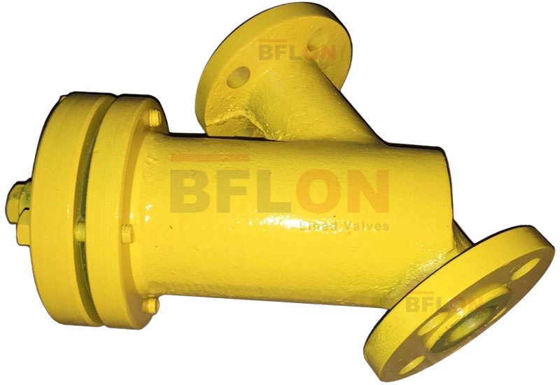 PTFE Lined Y Type Strainer